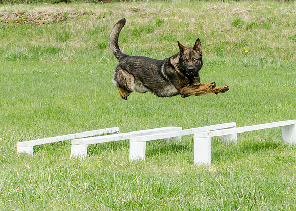 Full ResMPD K9-5609_
