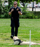 Full Res Mutt Strutt-2872_