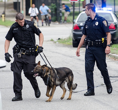MPD K9 FIermonte-0745_