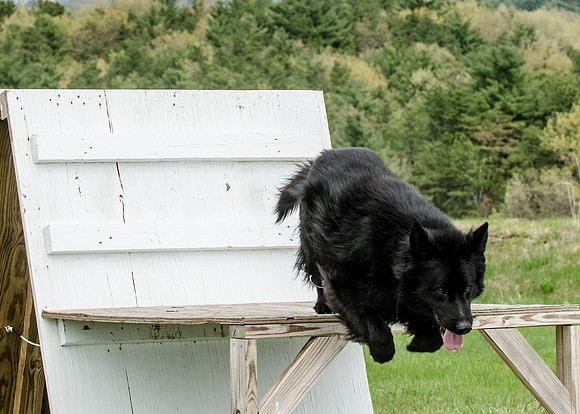 Full ResMPD K9-5508_