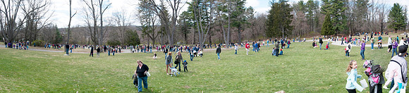 FSP Egg Pano