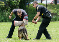 Full Res Mutt Strutt-2816_