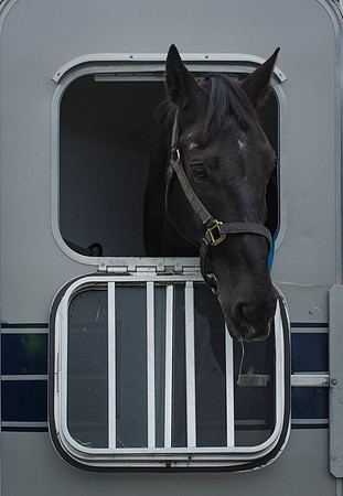 MPD Mounted Training-8474_