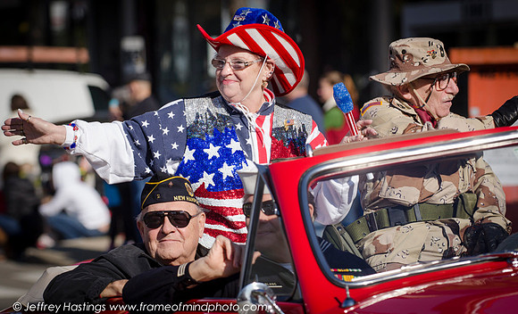 Veterans Day 2014-84502088