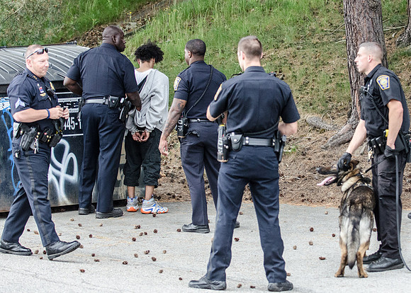 MPD K9 FIermonte-0776_