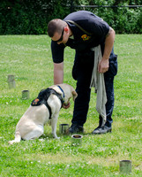 Full Res Mutt Strutt-2896_