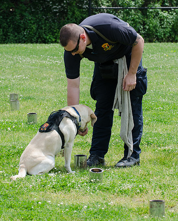 Full Res Mutt Strutt-2896_