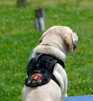 Full Res Mutt Strutt-2890_