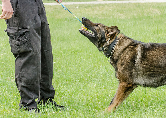Full ResMPD K9-5626_