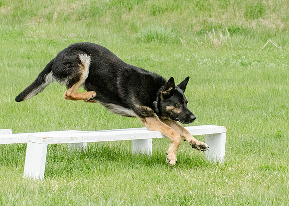 Full ResMPD K9-5554_