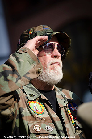 Veterans Day 2014-84762088