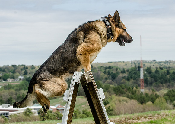 Full ResMPD K9-5636_