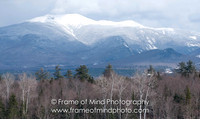 NH Images-0272