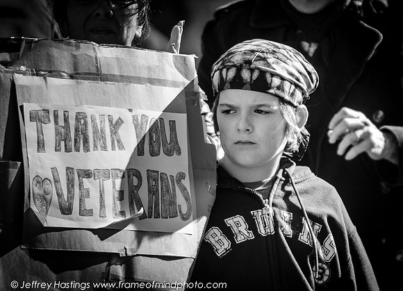 Veterans Day 2014-87102088