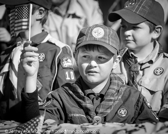 Veterans Day 2014-86982088