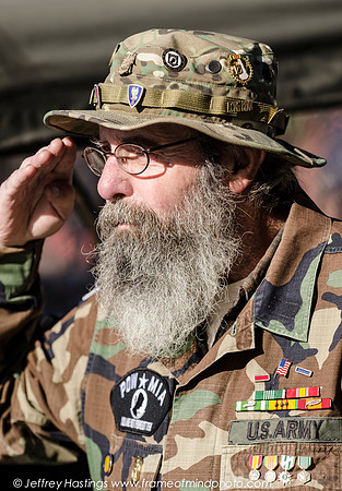 Veterans Day 2014-85342088