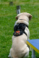 Full Res Mutt Strutt-2889_