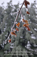 NH Images-6847