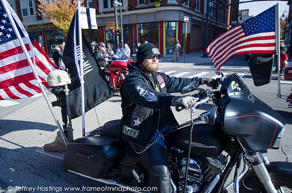 Veterans Day 2014-54482089