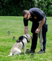 Full Res Mutt Strutt-2897_