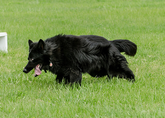 Full ResMPD K9-5524_