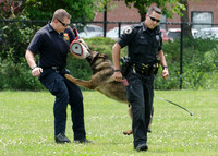 Full Res Mutt Strutt-2812_