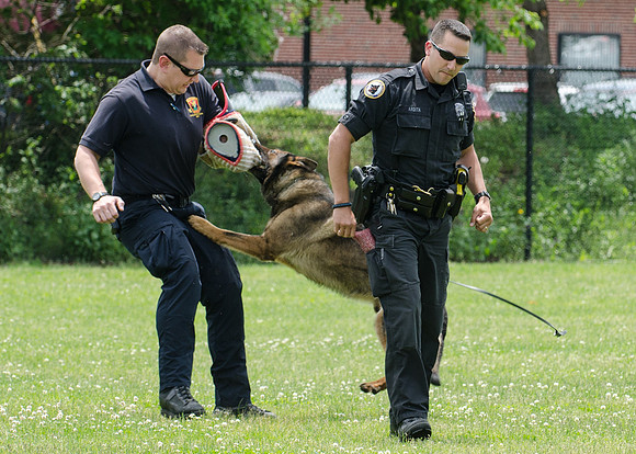 Full Res Mutt Strutt-2812_