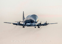 Super Guppy MHT-0690_