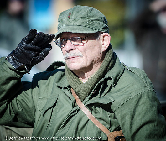 Veterans Day 2014-85442088