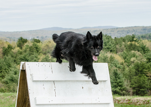 Sm web MPD K9-5505_