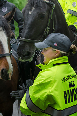 MPD Mounted Training-8342_
