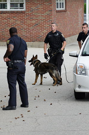 MPD K9 FIermonte-0753_