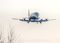 Super Guppy MHT-0683_