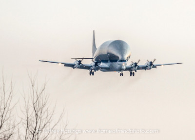 Super Guppy MHT-0683_