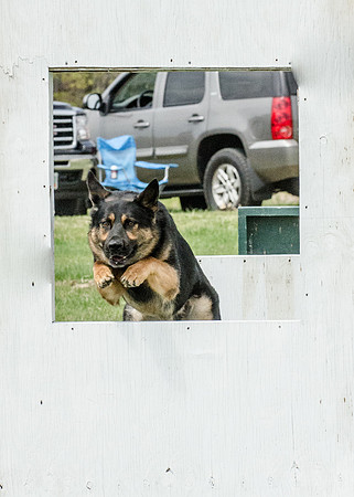 Full ResMPD K9-5579_