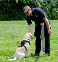 Full Res Mutt Strutt-2901_