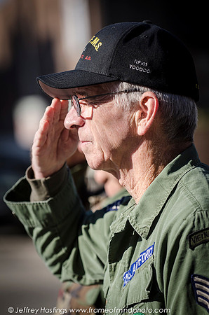 Veterans Day 2014-85152088