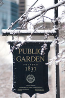 Boston Common-8040