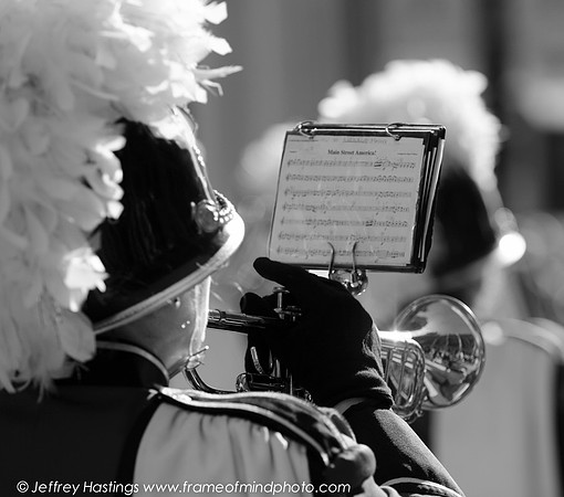 Veterans Day 2014-87332088