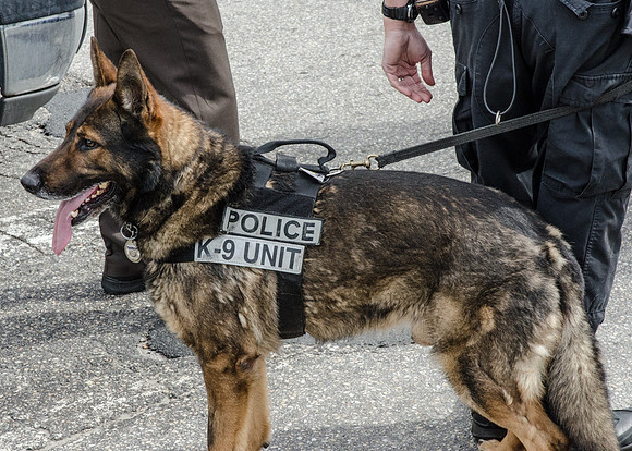 MPD INC SWAT-9537_