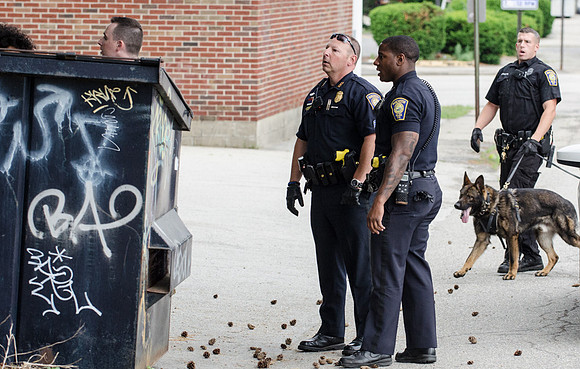 MPD K9 FIermonte-0749_