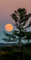 Super Moon 2016-3996