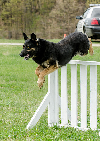 Full ResMPD K9-5538_