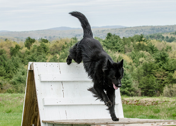 Full ResMPD K9-5506_