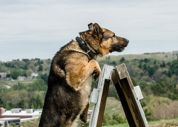 Full ResMPD K9-5635_