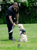 Full Res Mutt Strutt-2906_