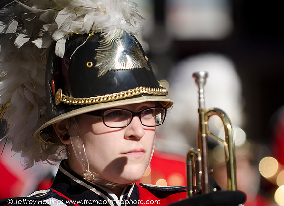 Veterans Day 2014-87312088