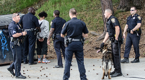 MPD K9 FIermonte-0778_
