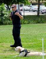 Full Res Mutt Strutt-2871_