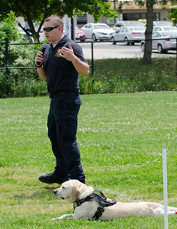 Full Res Mutt Strutt-2871_